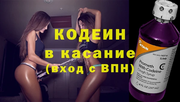 сатива Арсеньев