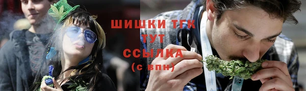 сатива Арсеньев