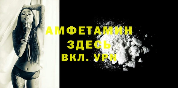 сатива Арсеньев