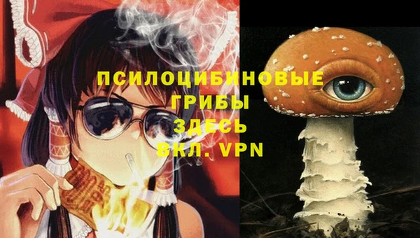 ГАЛЛЮЦИНОГЕННЫЕ ГРИБЫ Аркадак