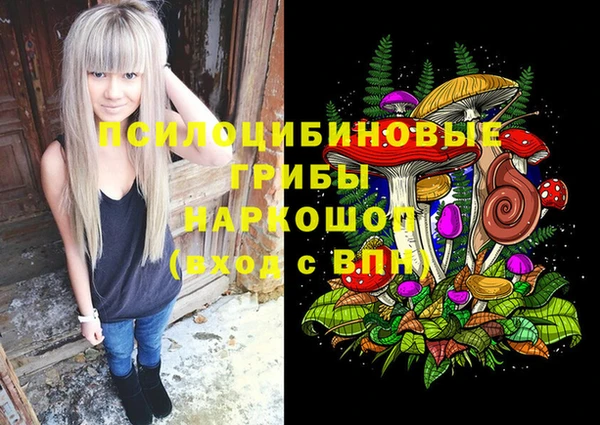 ГАЛЛЮЦИНОГЕННЫЕ ГРИБЫ Аркадак