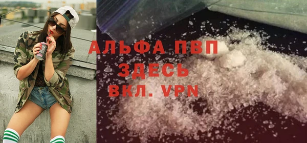 сатива Арсеньев