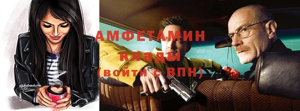ГАЛЛЮЦИНОГЕННЫЕ ГРИБЫ Аркадак
